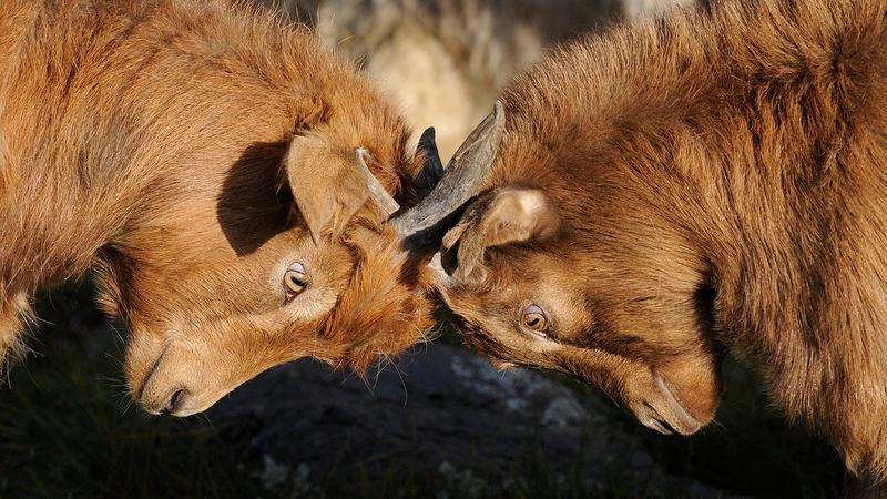 Diskussionen und ihre völlige Sinnlosigkeit - oder etwa nicht?